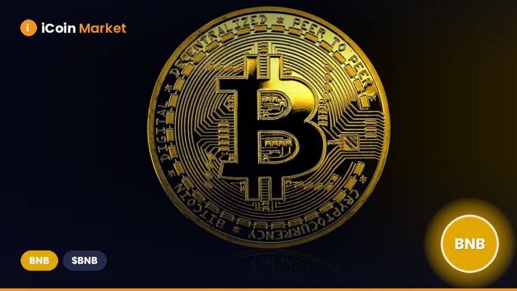BNB Receives Institutional Support as Binance Coin Overtakes Cardano in Grayscale’s GDLC Fund
