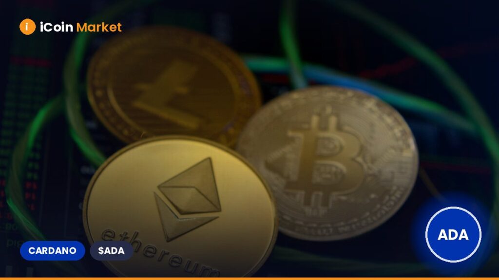 Cardano Founder Announces March Launch for Midnight as Expert Forecasts Bitcoin Transition to Privacy Coins