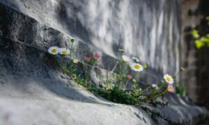 Top 6 Staking Platforms for February 2026