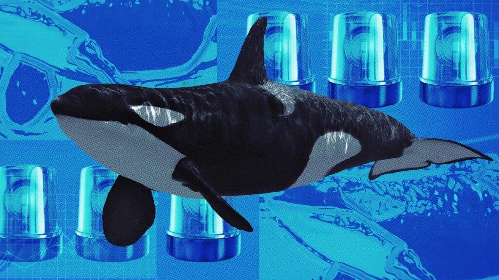 The Daily: Crypto Whale Loses Nearly $50M in DeFi Swap, BlackRock’s Staked Ethereum ETF Has Strong Start, and More