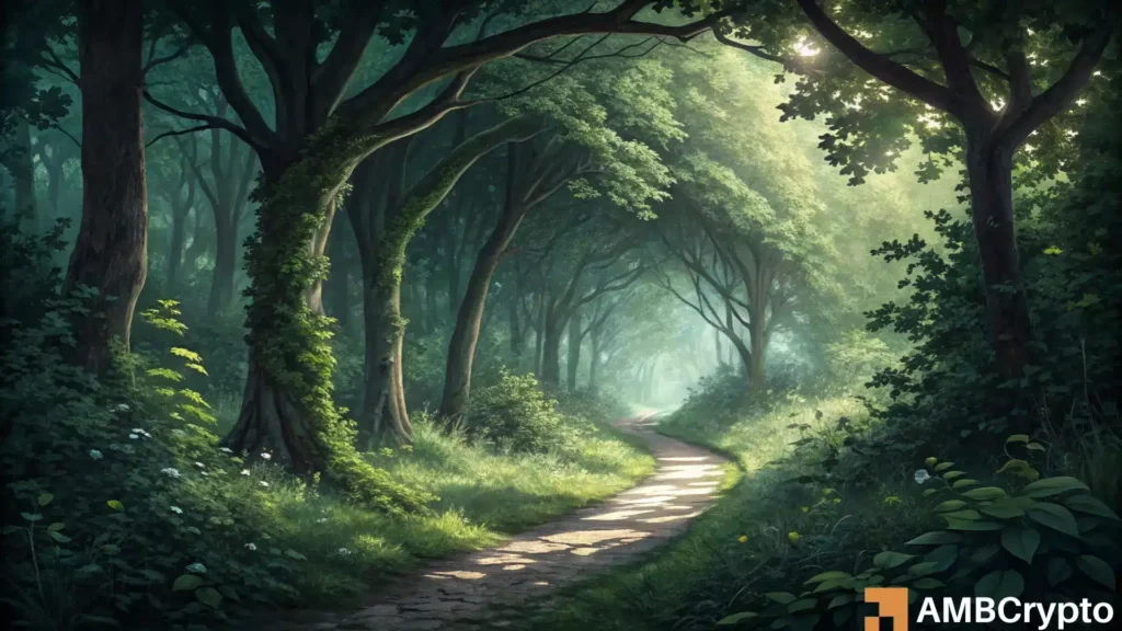 Bitcoin Cash: Why BCH Traders Should Pay Attention to This Buy Signal