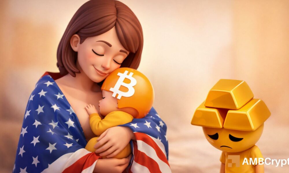 Bitcoin Surpasses Gold in U.S. Ownership – However, BTC Depends on This Key Level