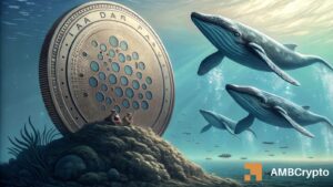 Cardano Whales Acquire 220 Million ADA—Why Is the Price Still Under $0.275?