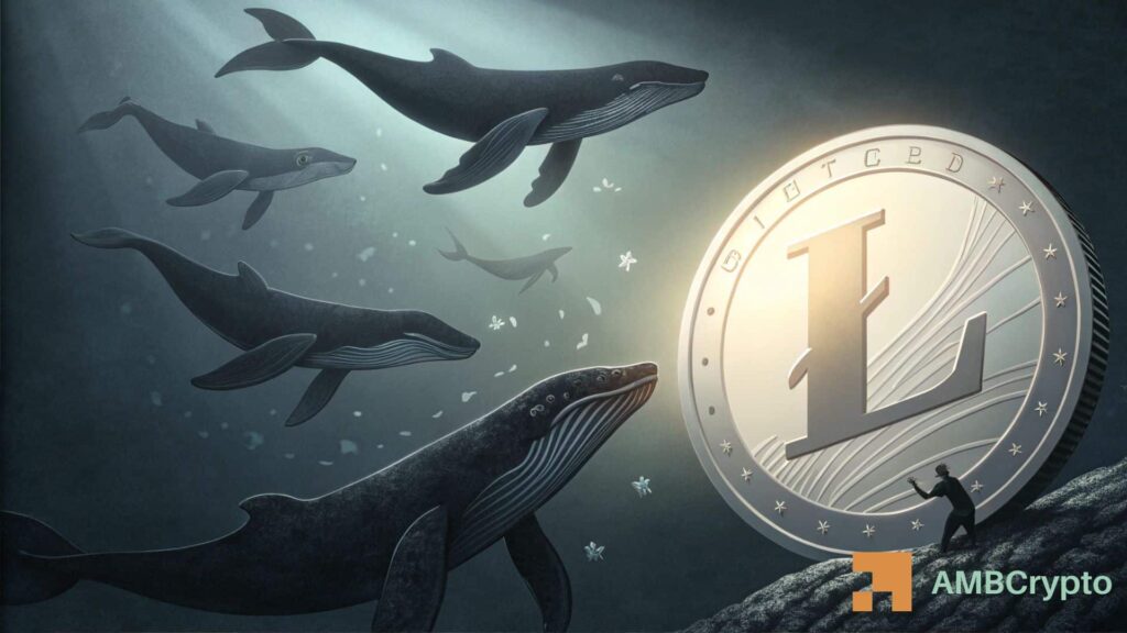 Litecoin Whale Transfers 1.25 Million LTC Off Exchange, Boosting Accumulation Hopes