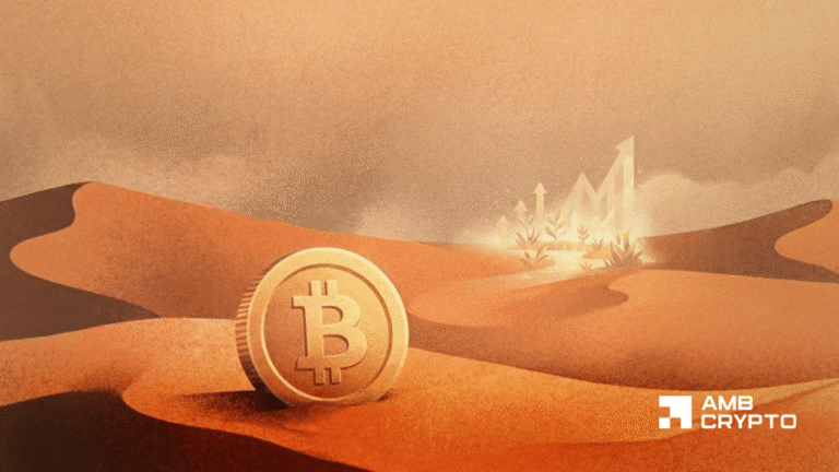 Bitcoin Stays at $71K, But $800 Million in Liquidations Tell a Deeper Tale