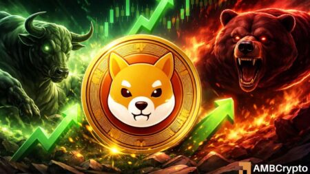 Analyzing Shiba Inu’s Recent Surge: How Long Will SHIB’s Rally Last?