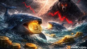 Bitcoin Stalls: Why BTC Could Drop to $65K Despite $23M Whale Purchase