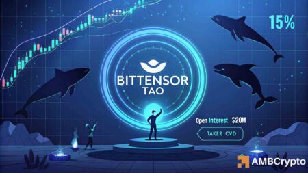 Everything You Need to Know About TAO’s 15% Increase and Its Surging Open Interest