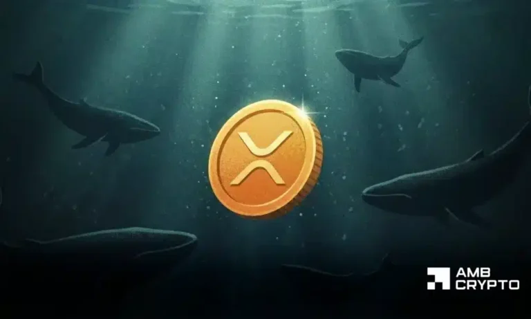 XRP Resilience vs. Bitcoin’s Macro-Driven Weakness: Effects on Investor Sentiment