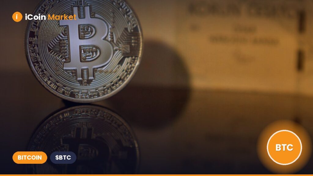 Bitcoin Price Bottom Forecast by On-Chain Expert Willy Woo Raises Concerns