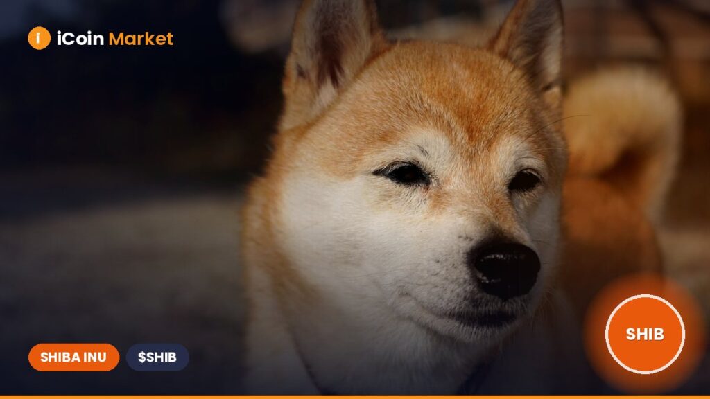 How Low Could Shiba Inu, Pepe Coin, and Dogecoin Drop?