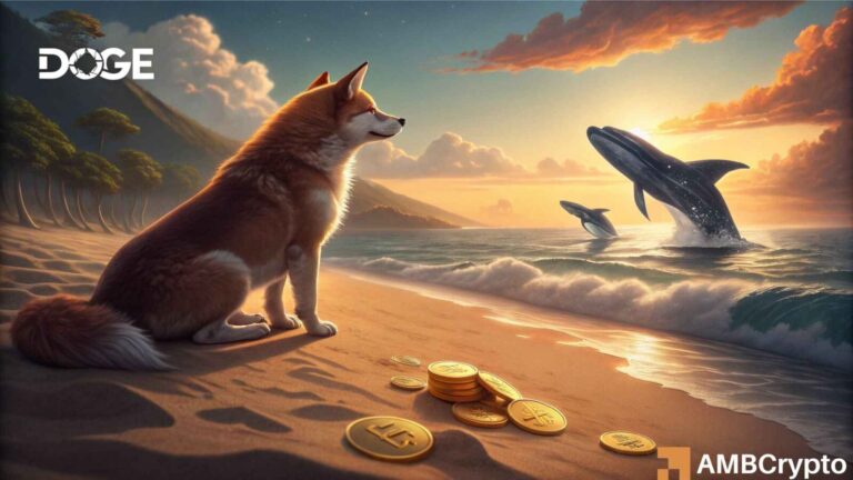 Is Dogecoin Ready for a Rally? Whales Accumulate 500 Million DOGE