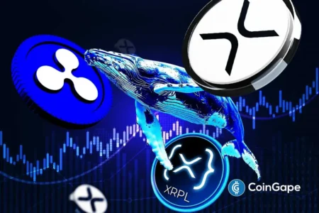 XRP Whales Grow More Optimistic as Ripple Executives Attend Major XRPL Event in Japan