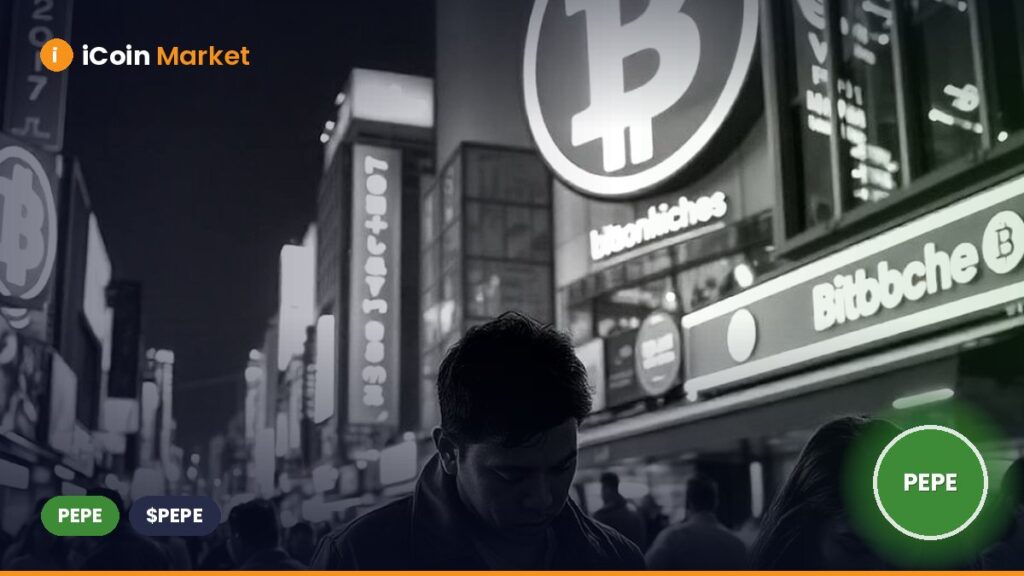 Canary Capital Submits PEPE ETF Application to the SEC