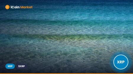 Former Ripple Executive Explains Why XRP Treasury is a Better Investment than an XRP ETF. Former Ripple Executive Explains Why XRP Treasury is a Better Investment than an XRP ETF.