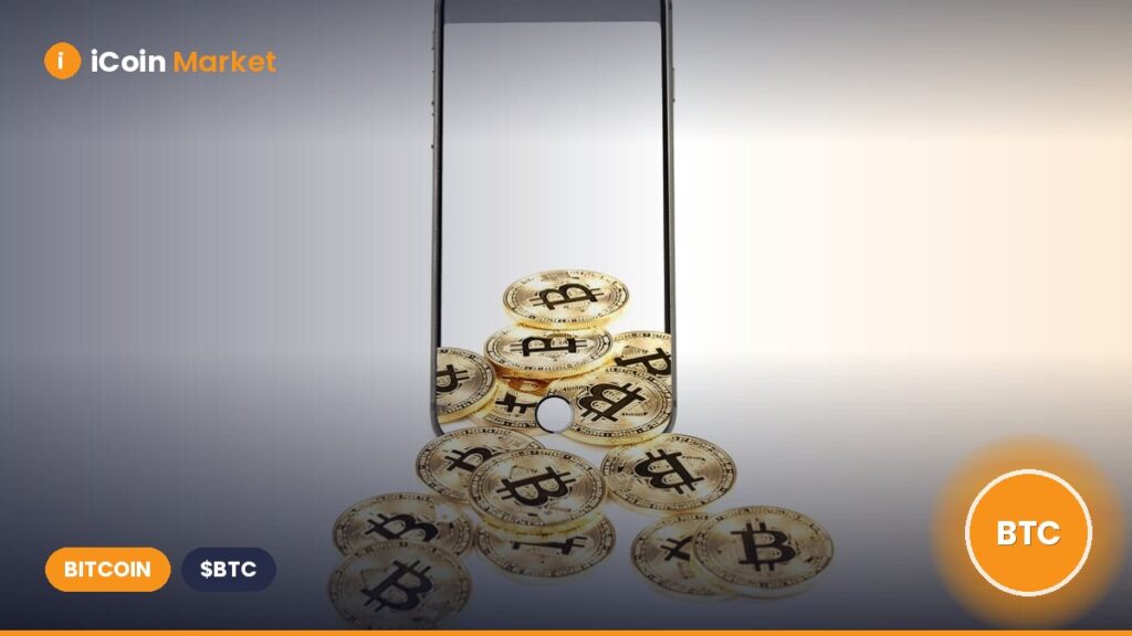 New XFUNDS ETF Switches Between Bitcoin Overnight and Treasuries During the Day